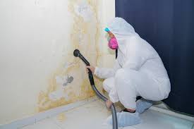 Mold Remediation for Rental Properties in Baker City, OR